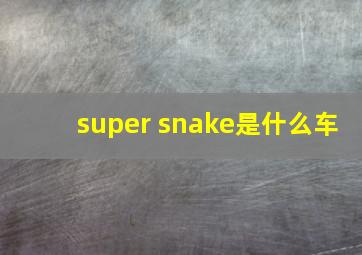 super snake是什么车